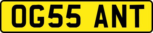 OG55ANT