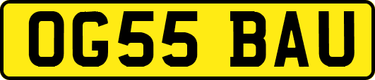 OG55BAU