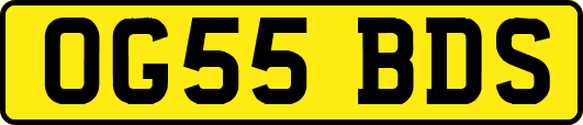OG55BDS