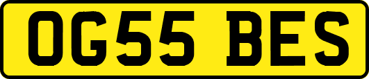 OG55BES