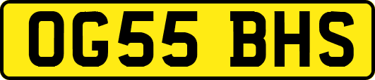 OG55BHS