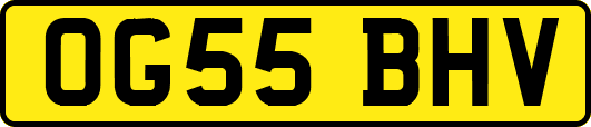 OG55BHV