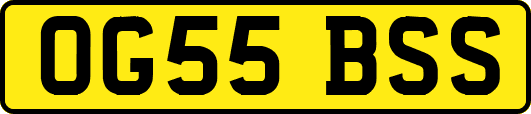 OG55BSS