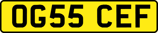 OG55CEF