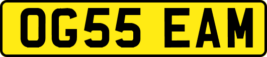 OG55EAM