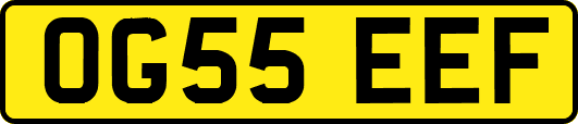 OG55EEF