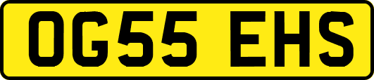 OG55EHS