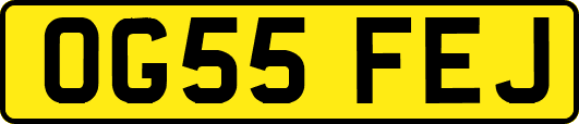 OG55FEJ