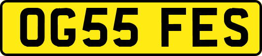 OG55FES