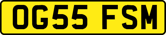 OG55FSM