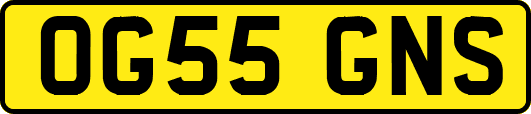 OG55GNS