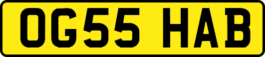 OG55HAB