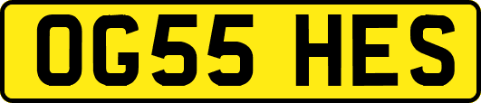 OG55HES
