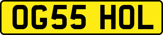 OG55HOL