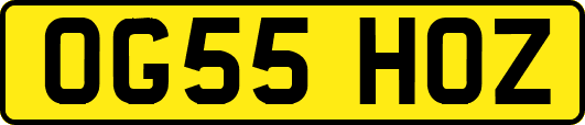 OG55HOZ