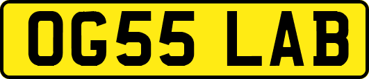 OG55LAB