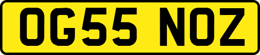 OG55NOZ