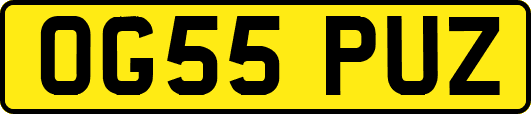 OG55PUZ