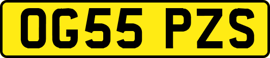 OG55PZS