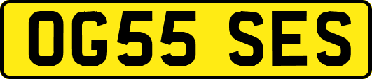 OG55SES