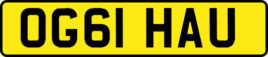 OG61HAU