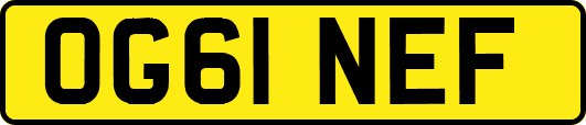 OG61NEF