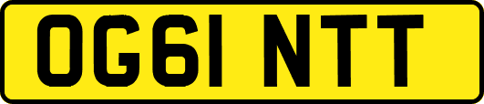 OG61NTT