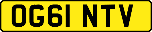 OG61NTV