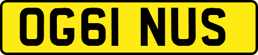 OG61NUS