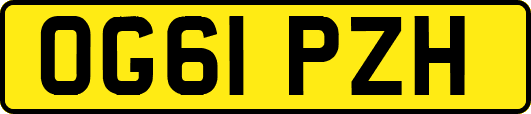 OG61PZH