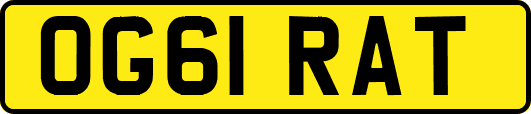 OG61RAT