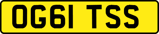 OG61TSS