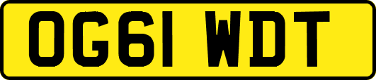 OG61WDT