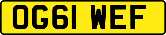 OG61WEF