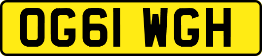 OG61WGH