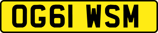 OG61WSM