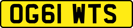 OG61WTS