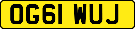 OG61WUJ