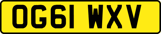 OG61WXV