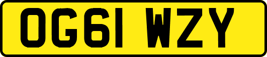 OG61WZY