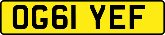 OG61YEF