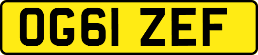 OG61ZEF