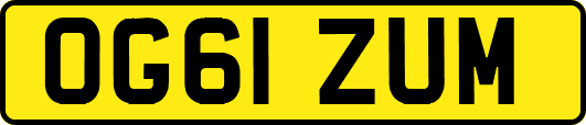 OG61ZUM