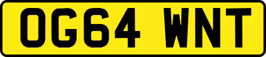 OG64WNT