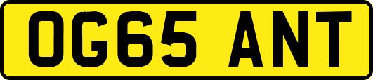 OG65ANT
