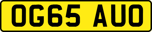 OG65AUO