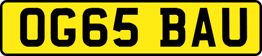OG65BAU