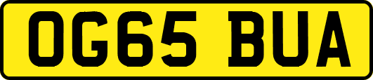 OG65BUA