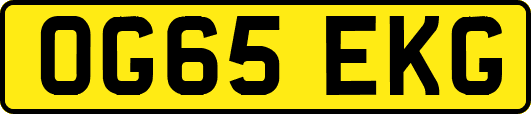 OG65EKG