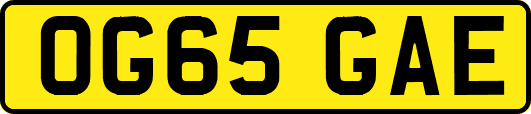 OG65GAE